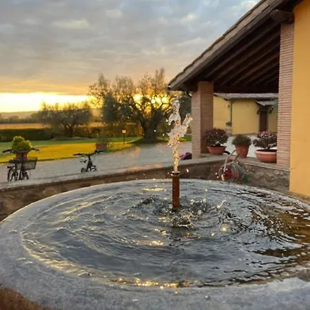 Arlena Bolsena