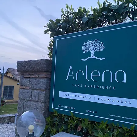 Arlena Bolsena